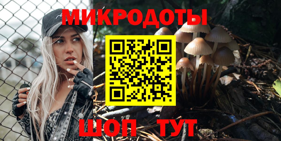 Псилоцибиновые грибы мицелий Мичуринск
