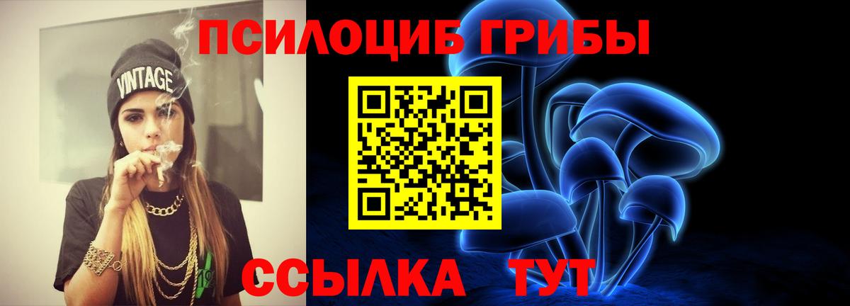 Мичуринск  Галлюциногенные грибы мухоморы  Вход с VPN 